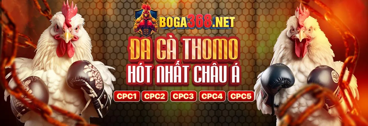 Hình ảnh chính về chiến thắng máy đánh bạc tại cado888 trang chủ