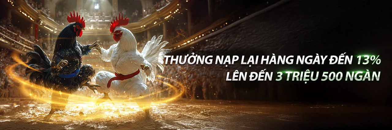 Khuyến Mãi cado888 Hấp Dẫn Nhất 2026